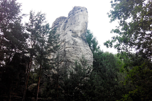 Skální útvar Hlava v lese nad Borkem p. Tr.